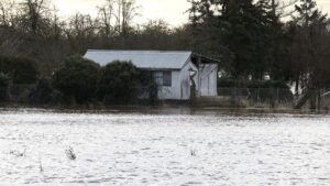 Versicherungsbranche warnt vor steigenden Kosten durch Klimawandel