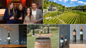 „Experience 2024“ – die neuen Erlebnis-Tastings in Istriens Kultweingut Kozlović