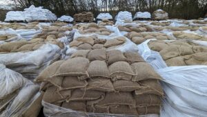 FDP will mehr vorbeugenden Hochwasserschutz