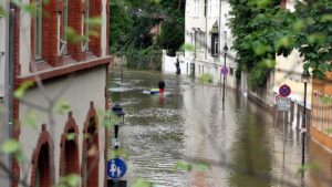FDP gegen Pflichtversicherung für Elementarschäden an Gebäuden