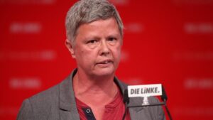 Nach EM-Vorfall: Linke drängt auf Verbot der Grauen Wölfe