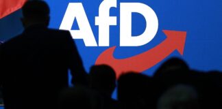 Ex-Verfassungsrichter mahnt zu sachlichem Umgang mit AfD