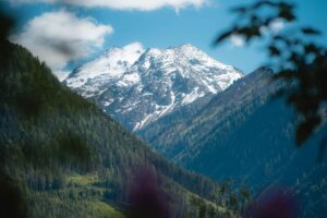 Zeitloser Herbst im Naturdorf Oberkühnreit