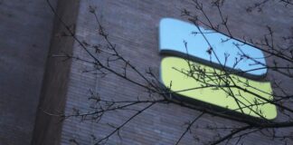 Ifo: Rentenzuschüsse verschlingen ein Drittel der Steuereinnahmen