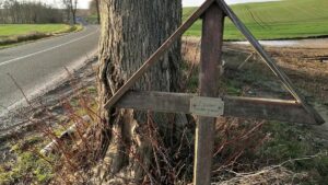 Bundesregierung: Rechtsstaat gut gegen Autorennen aufgestellt