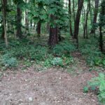 dts_image_20733_geisnitqcd_371_1200_675.jpg
