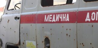 Ukraine-Gespräche: Grüne fordern mehr Engagement für Kriegsende