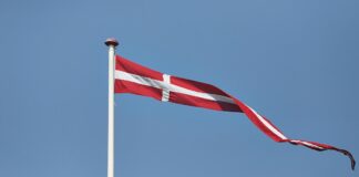 Handball-EM: Deutschland verliert Finale gegen Dänemark