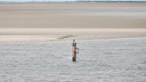 DLRG verzeichnet mehr tödliche Badeunfälle