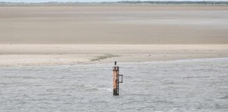 Gasförderung: Grüne wollen Borkum-Abkommen verhindern