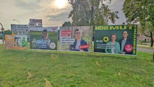 Wahlbeteiligung in Brandenburg bis 14 Uhr deutlich höher als 2019