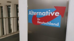 Wissenschaftliche Dienste: Zentrale AfD-Vorhaben rechtswidrig