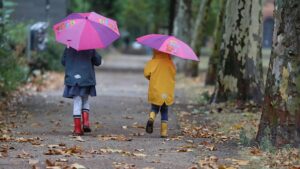 Herbsteinbruch in weiten Teilen Deutschlands