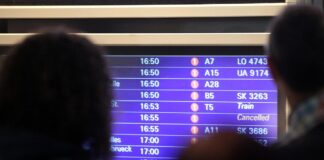 Weltkriegsbombe am Frankfurter Flughafen erfolgreich entschärft