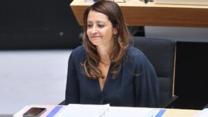 Badenberg sieht Chancen für Verbot einzelner AfD-Landesverbände