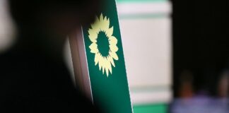 Weg frei für neues Vorstandsmitglied bei den Grünen