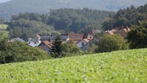 Haus und Grund: Erst Hälfte der Grundsteuerbescheide verschickt