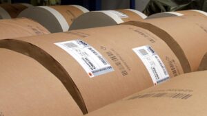 Woidke sieht freie Presse gefährdet