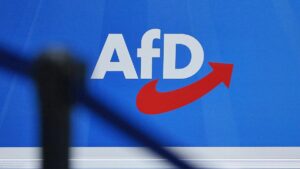 Menschenrechtsinstitut pocht auf AfD-Verbotsverfahren