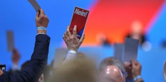 Bericht: AfD-Mitglieder fordern Sonderparteitag in Sachsen-Anhalt