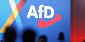 EKD-Präses: Kirchenämter unvereinbar mit AfD-Funktionärstätigkeiten
