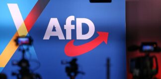 Scharfe Kritik an neuer AfD-Strategie der Familienunternehmer