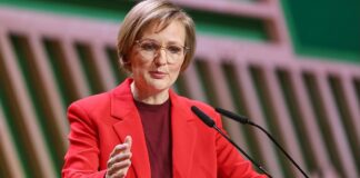 Grüne fordern Stopp von Abschiebungen in den Iran