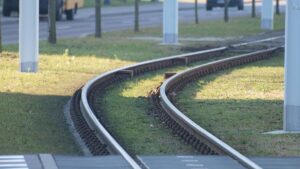 Greenpeace-Aktivisten drängen Schwarz-Rot zu besserem ÖPNV