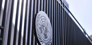 Linke drängt auf UN-Blauhelm-Einsatz in Ukraine