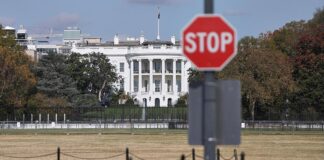 Irving protestiert gegen "autoritären Faschisten im Weißen Haus"