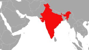 Berichte: Brite überlebt Flugzeugabsturz in Indien