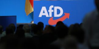 Wirtschaftsverbände diskutieren Ende der "Brandmauer" zur AfD