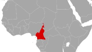 NRC: Kamerun ist am stärksten vernachlässigte Vertreibungskrise