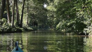 Gewässer in Berlin und Brandenburg in ökologisch kritischem Zustand