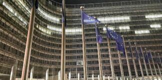 EU will Klimaziele durch Anrechnung von Krediten aufweichen