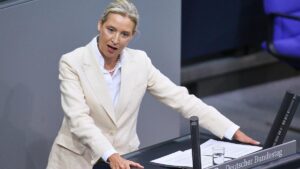 Weidel wirft Merz in Generaldebatte "Wahlbetrug" vor