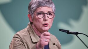 Haßelmann fordert "glaubhafte Sicherheitsgarantien" für Ukraine