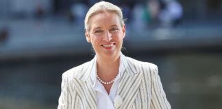 Politbarometer: AfD auf neuem Höchststand