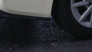 Studie: Reifenabrieb verändert Mikrobenwelt im Rhein