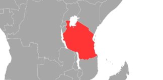 Opposition in Tansania wirft Präsidentin Wahlfälschung vor