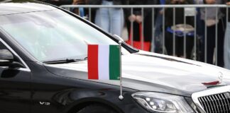 Steinmeier hebt Bedeutung deutsch-italienischer Beziehungen hervor