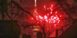 Silvester: Grüne wollen verschärfte Sprengstoffverordnung