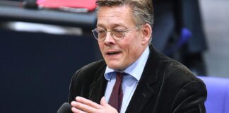 Grünen-Fraktionsvize ruft zur Geschlossenheit im Umgang mit AfD auf