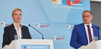 Linnemann kritisiert Radikalisierung der AfD unter Führungsduo
