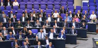 Mercosur-Abkommen spaltet AfD-Bundestagsfraktion