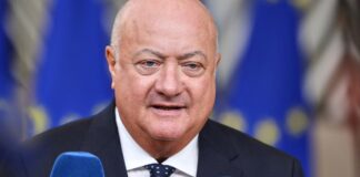 Österreich weist mögliche Einmischungsversuche durch Trump zurück