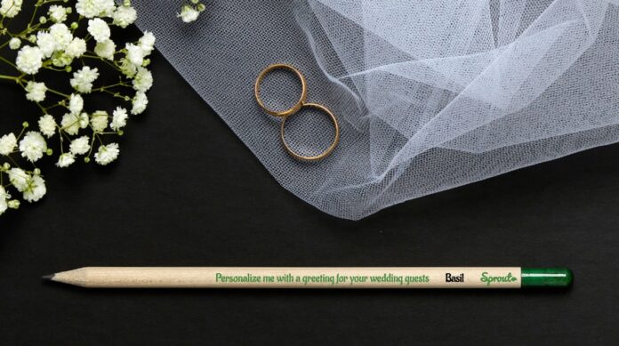 SproutWorld Valentinstag nachhaltig schenken