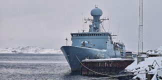 Linke warnt vor Nato-Mission in Grönland