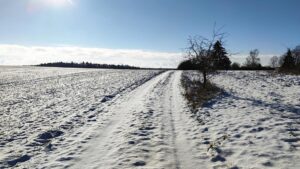 Kälteeinbruch: Verbände erwarten positive Folgen für Landwirtschaft