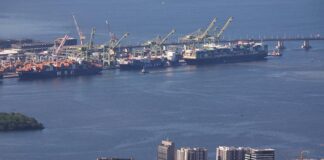 Mercosur: SPD wirft Grünen Dummheit und Instinktlosigkeit vor